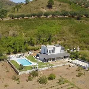 Tacco E Punta Grisi